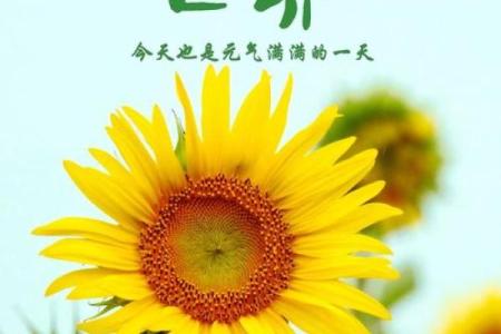 气宇轩昂富贵命，生肖解析助你走向辉煌人生！