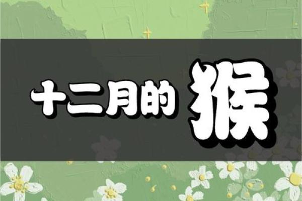 属猴女孩子命运解析:聪明灵动的人生旅程 属猴女孩子命运解析:聪明灵动的人生旅程