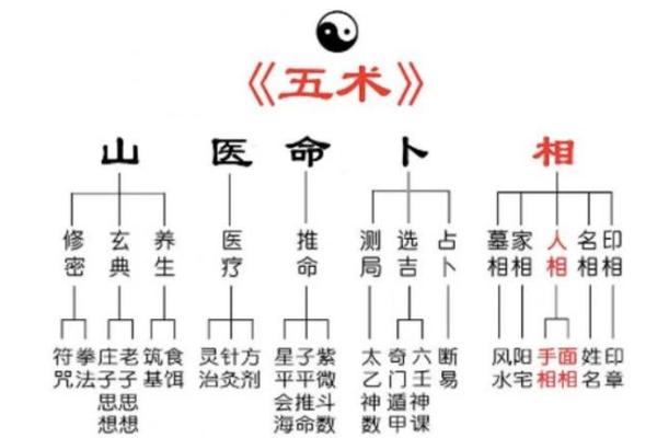 命理解析:这些八字特征预示你将拥有好老公命! 命理解析:这些八字特征预示你将拥有好老公命!