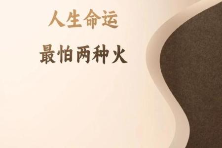 东施命与西四命 解读命运的两种人生哲学