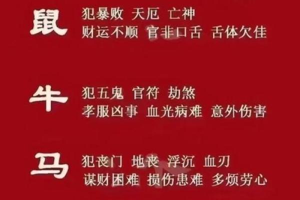 蛇年之后的生肖命运揭秘:谁会成为下一个主宰? 蛇年之后的生肖命运揭秘:谁会成为下一个主宰?