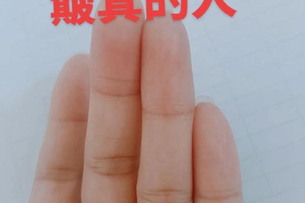 男人七个簸箕是什么命：探索命运与决策的奥秘