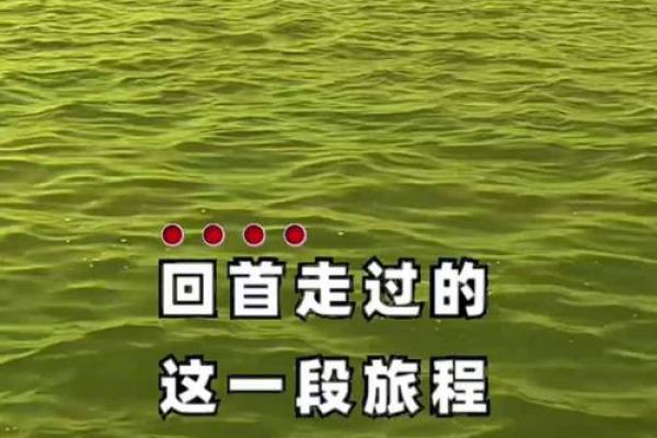 壬子月：五行水的智慧与人生旅程的启示