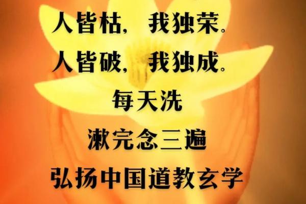 农历三月六五：探秘命理中的秘密与智慧