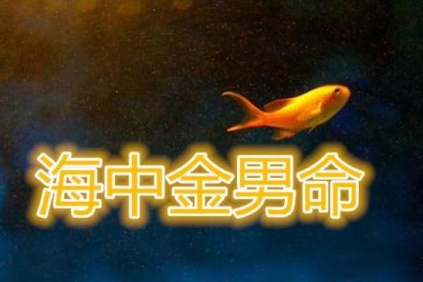 揭秘算命中的“狗屎命”:你真的了解它的含义吗? 揭秘算命中的“狗屎命”:你真的了解它的含义吗?