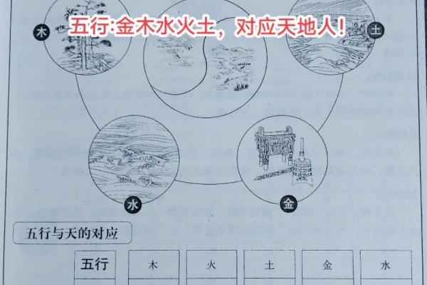 木命与土命的独特属性与生活指南 木命与土命的独特属性与生活指南