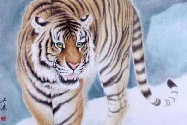 石榴木命之色,助你事业腾飞的秘密! 石榴木命之色,助你事业腾飞的秘密!