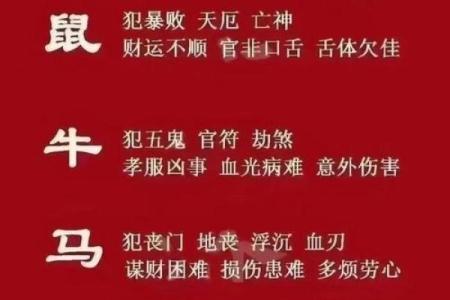 蛇年之后的生肖命运揭秘：谁会成为下一个主宰？