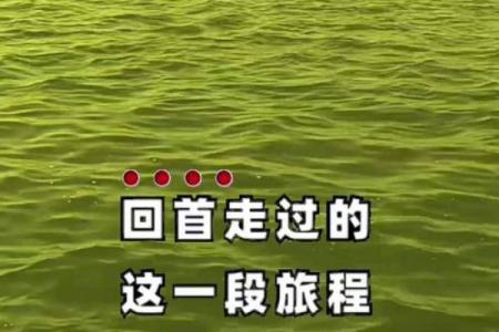 壬子月：五行水的智慧与人生旅程的启示