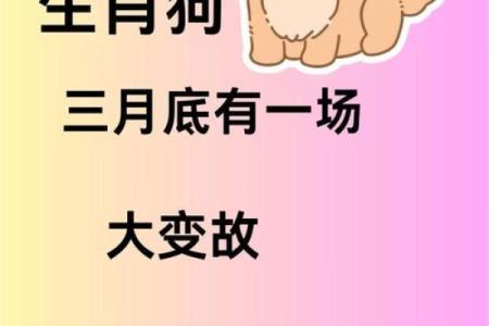 狗年好运来，揭示犬属命的神秘与财富之路