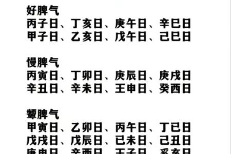 属马庚寅的命格解析：成功与挑战的交织人生