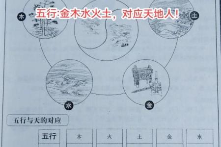 木命与土命的独特属性与生活指南