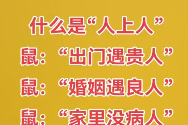 二零二零年生肖鼠：金鼠之年的命运与机遇探秘