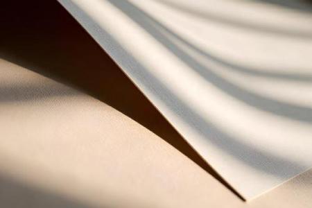 森林木命与土命的深度契合探究