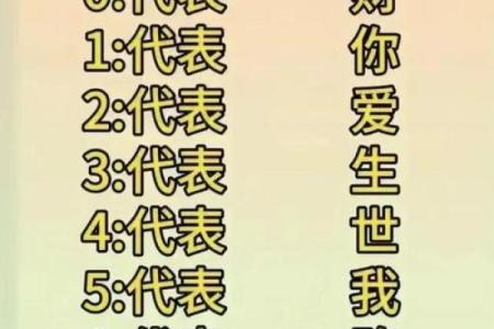 解读水命与木命：如何根据五行选择合适车牌号码