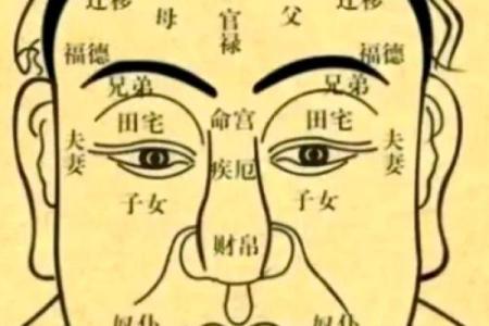 命强与命弱：探索人生运势的奥秘与影响