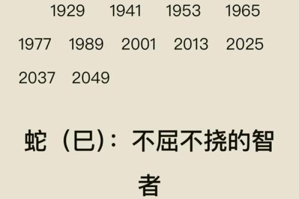 揭秘双命字的奥秘与魅力：古代文化中的双重寓意与现代解读