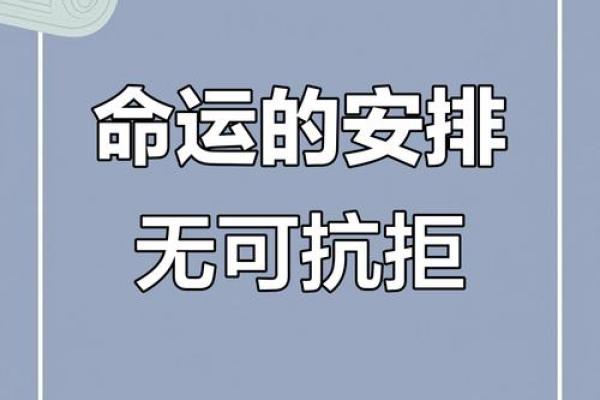 命运的追逐:为何我们无法逃避人生的安排 命运的追逐:为何我们无法逃避人生的安排