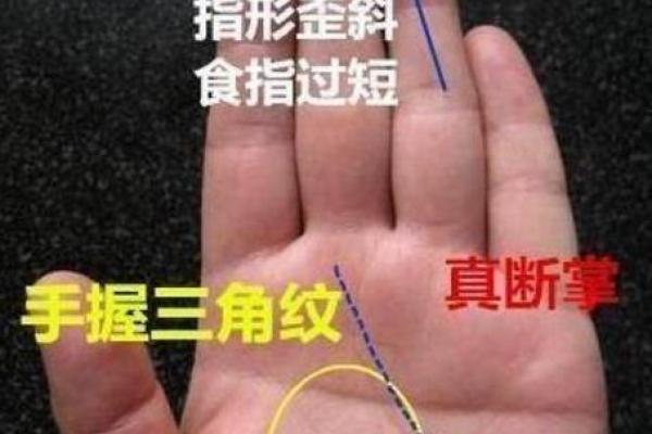 了解男初一出生的命运:探寻命理背后的秘密与指引 了解男初一出生的命运:探寻命理背后的秘密与指引