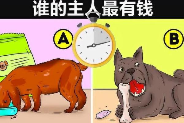 命运的交错：无家无夫无钱的生活启示