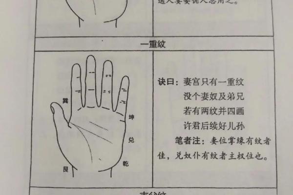 1975年兔命解析：生肖兔的命理与性格特征