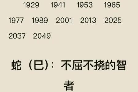 揭秘双命字的奥秘与魅力：古代文化中的双重寓意与现代解读
