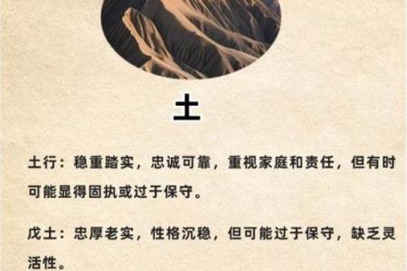 木命之贵：揭示五行中木命为何受尊崇的奥秘