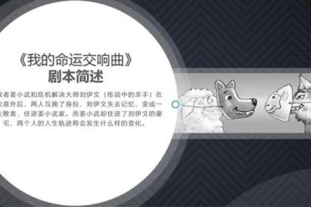 命运的交响曲：探讨女子被丈夫杀害的背后意义与命理解析