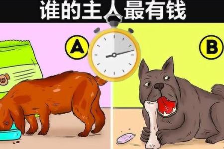 命运的交错：无家无夫无钱的生活启示