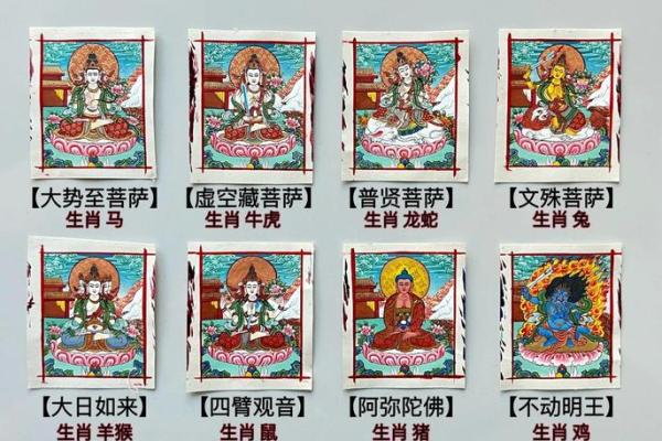 散命人：她的生肖背后隐藏的秘密与智慧