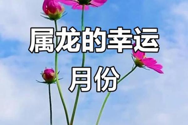 属龙晚上八点出生女孩的命运解析：星相与性格的奇妙结合
