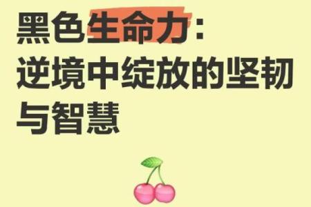 揭示女人的庶命：在逆境中绽放的生命智慧