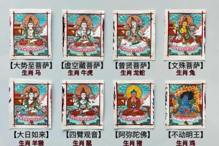 散命人：她的生肖背后隐藏的秘密与智慧