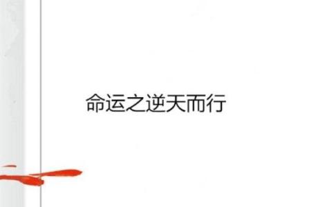 逆天帝命：命运与选择的碰撞