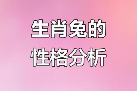 属兔水命的人生哲学与性格特征分析