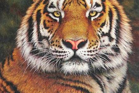 七六年老虎命：他们的性格与命运分析