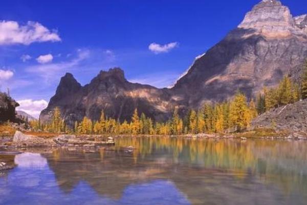 揭示路旁土命的生活智慧与挑战,走向精彩人生 揭示路旁土命的生活智慧与挑战,走向精彩人生