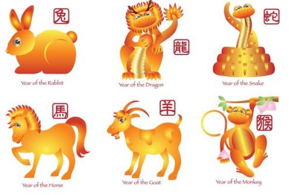 揭秘：十二生肖水命的最佳配对与生活智慧