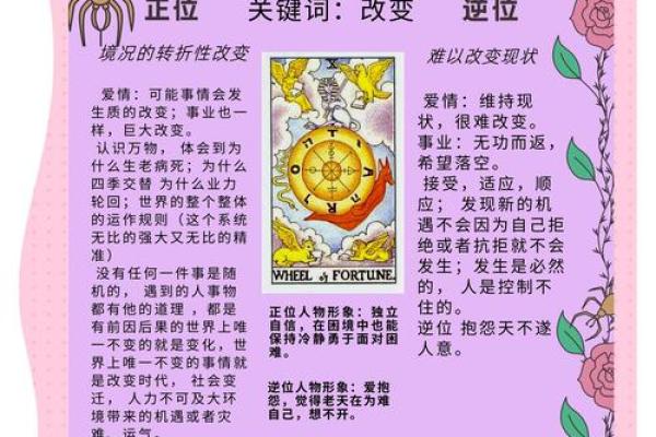 了解七个罗罗:掌握命运的手指奥秘 了解七个罗罗:掌握命运的手指奥秘