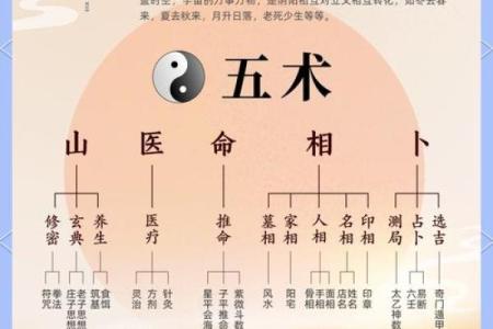 揭示人生五命：男性命格的神秘与启示