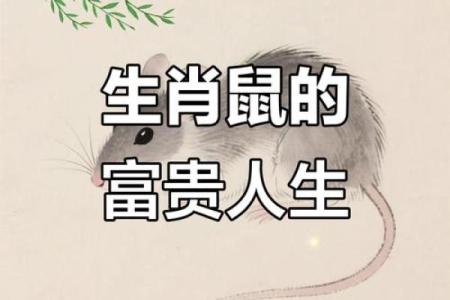 属鼠人的富贵命：揭秘蕴藏在命理中的财富之路