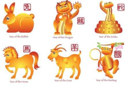 揭秘：十二生肖水命的最佳配对与生活智慧