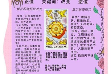 了解七个罗罗：掌握命运的手指奥秘