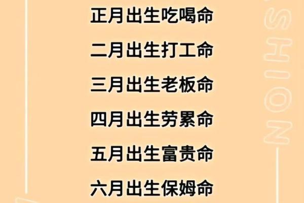 凭什么你命由你而我命？探索自我掌控的奥秘与力量