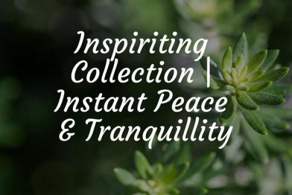 脾气与命运交织：探寻内心平和的智慧之道