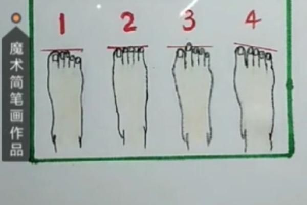 女生二脚趾长的秘密:揭示隐藏的命运与性格特征 女生二脚趾长的秘密:揭示隐藏的命运与性格特征
