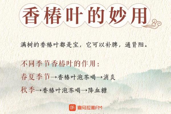 揭秘石榴木命如何找到最合适的养命之法,助你提升生活品质! 揭秘石榴木命如何找到最合适的养命之法,助你提升生活品质!