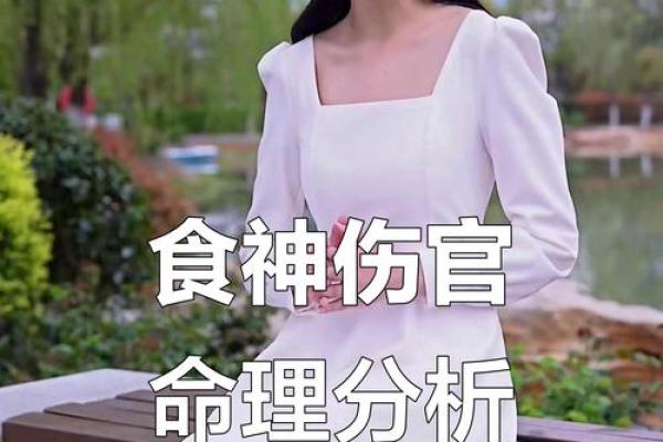 揭秘女命伤官食神旺的魅力与人生轨迹