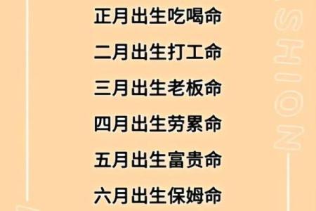 凭什么你命由你而我命？探索自我掌控的奥秘与力量