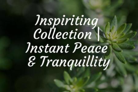 脾气与命运交织：探寻内心平和的智慧之道